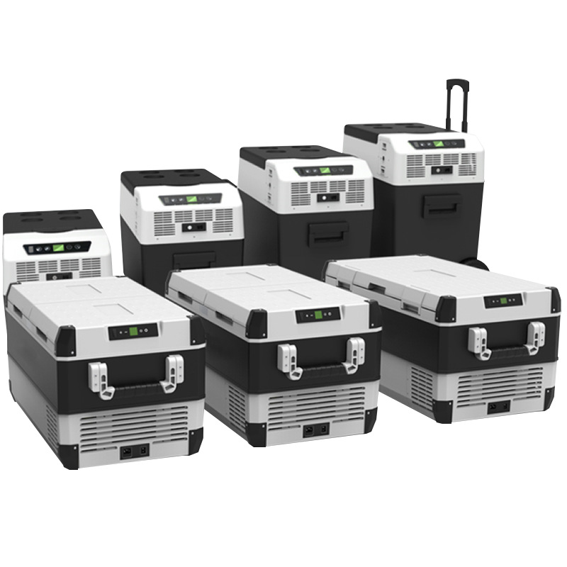 frigorifero per auto